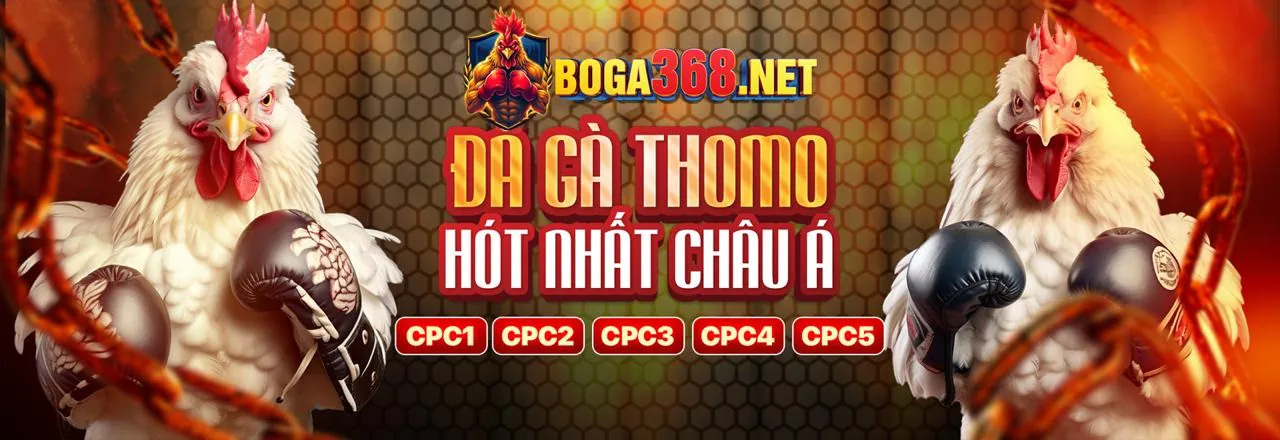 Tin tức đối tác 0king88